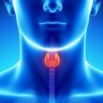 Рак щитовидной железы