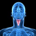 Рак гортани